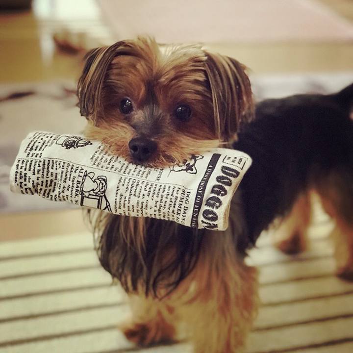 E23fedfa 495e 426b a7c1 16d669e1560e 1512171202462