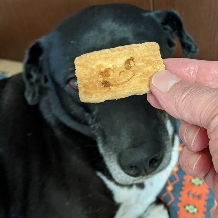 E23ffa71 3112 474b 8422 571c060a0130 1697504599197