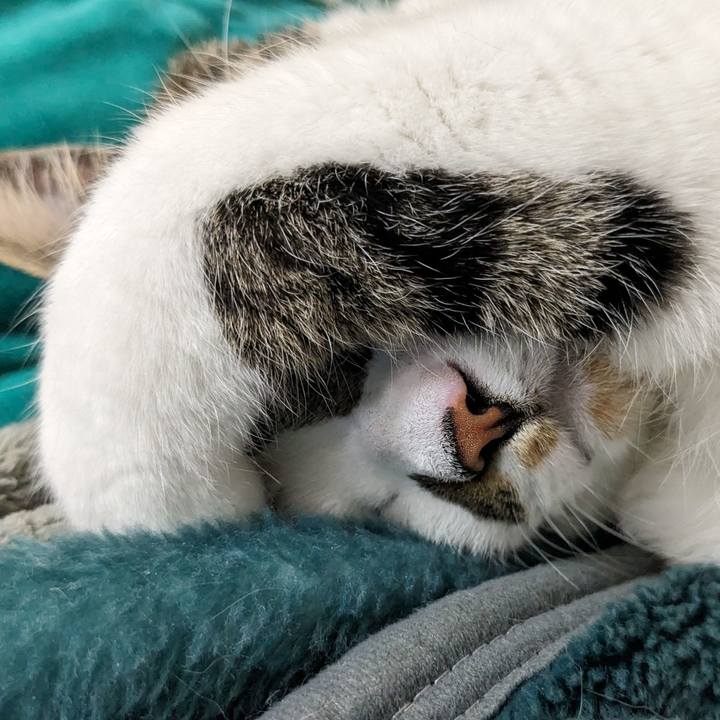 E2402516 3455 40e4 b0da bc6dfacc67d6 1710744707457