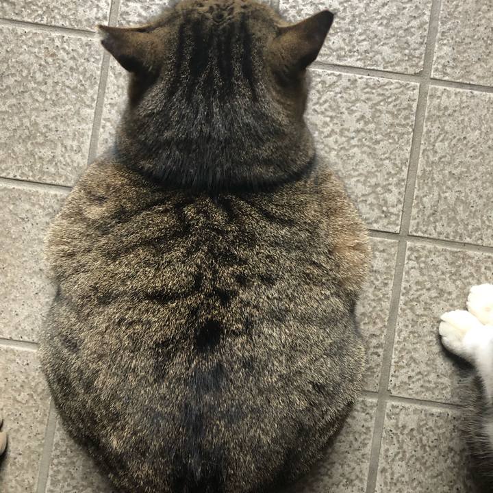 E2402a9f 1bf0 45d8 9614 04e0faf72d47 1549442065052