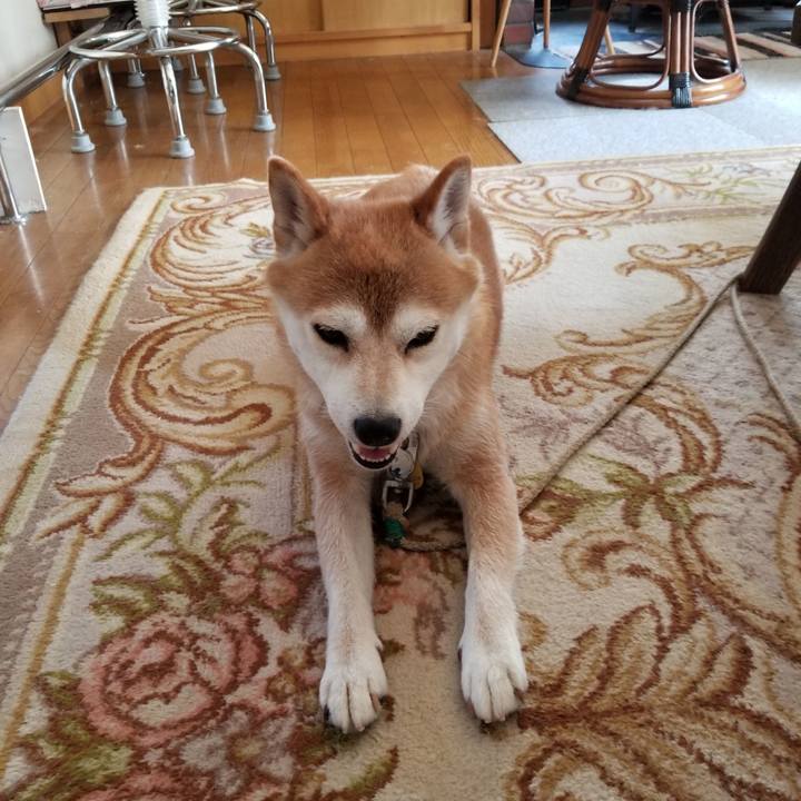 E2402fc7 091f 4083 aee8 bbb9d400437f 1563936455719