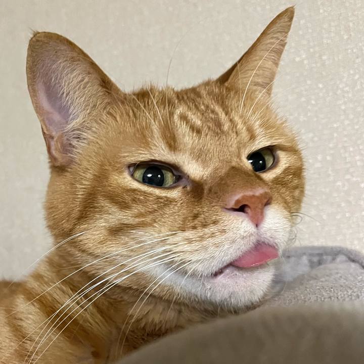 E2406604 e1cf 47d6 90ea 6af7e5f2f56d 1773125986510