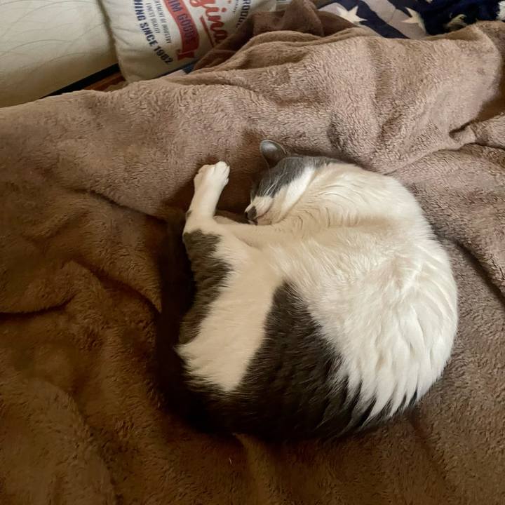 E2407b64 992a 4388 8d04 73d2d1477d9b 1681282537574