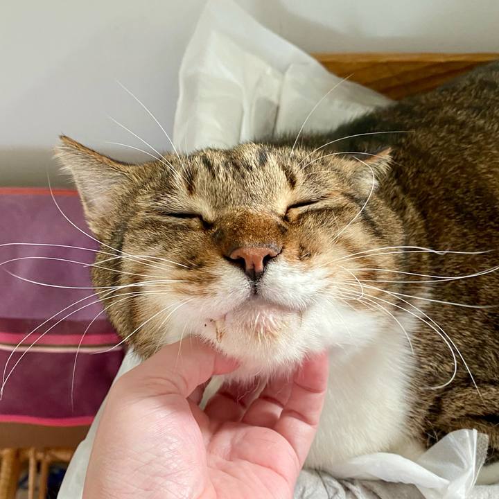 E240e8bc 7002 4673 96c2 73b68183bc4a 1758607750162