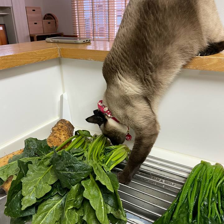 E240f5bf 532a 415a b675 f9ee83c24d43 1741421022802