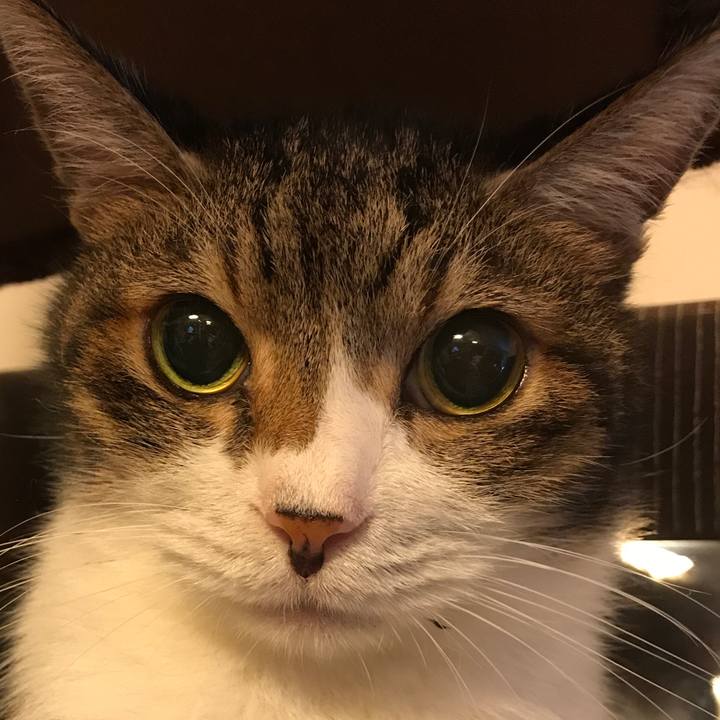 E240fb84 05a0 4e17 81be 88564ae9ecce 1536473035010