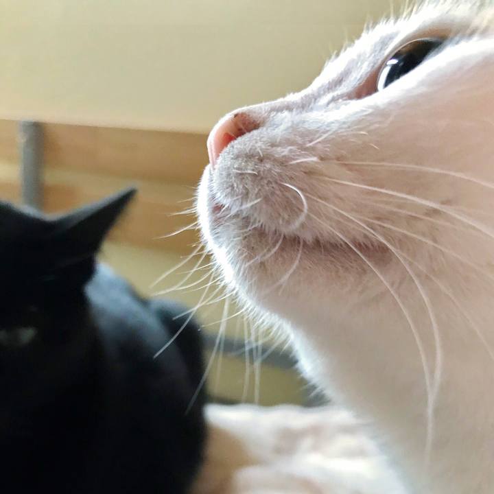 E2411157 eb6b 4cd0 aa2e 30fae84a099e 1508645843534