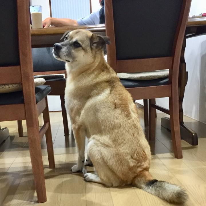 E2411d8a 8bf3 454f ab78 f3ad63485549 1530870539041