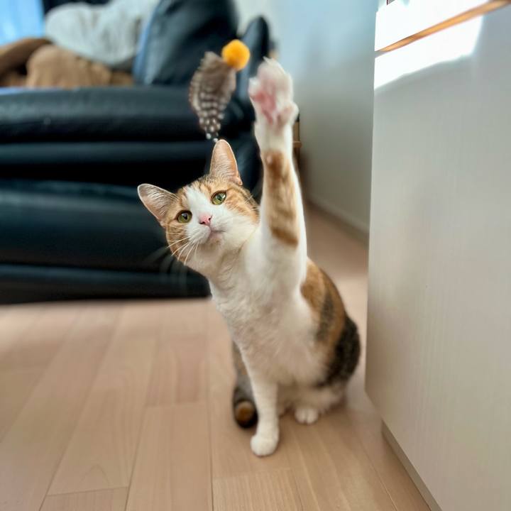 E24136f7 3205 4bd3 8c80 77b1c98232f3 1772939990024