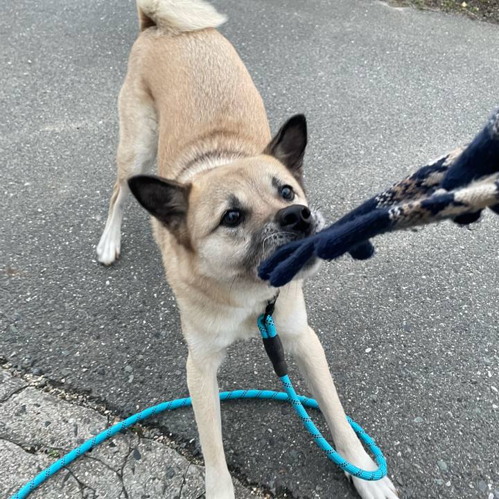 E2415629 ef87 4ab4 acb5 a5160b0cdb80 1676464070524