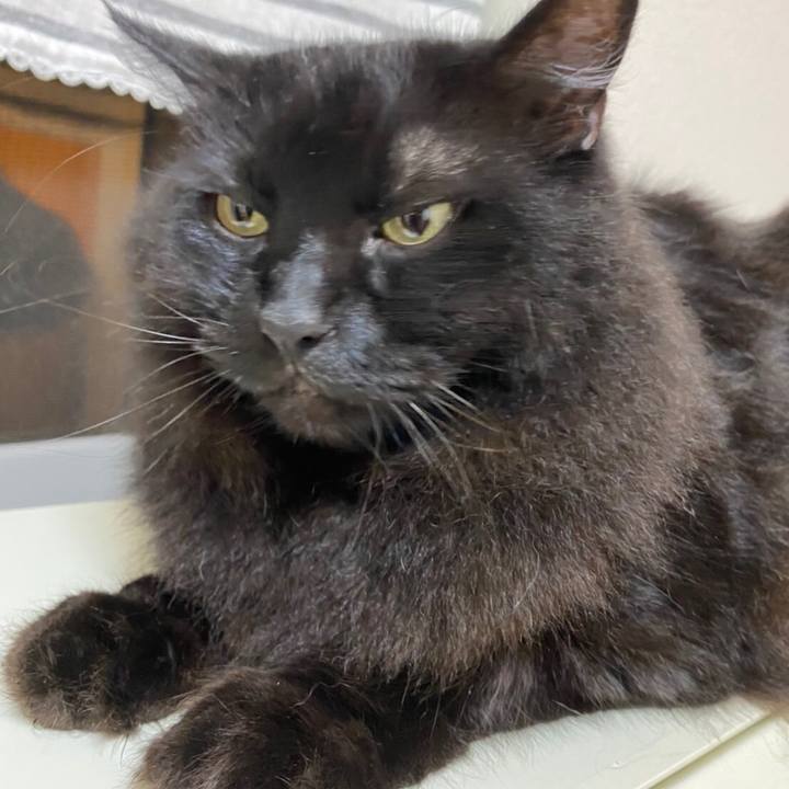 E2418348 cc8e 46ad b025 8ffe683f7c76 1598361403893