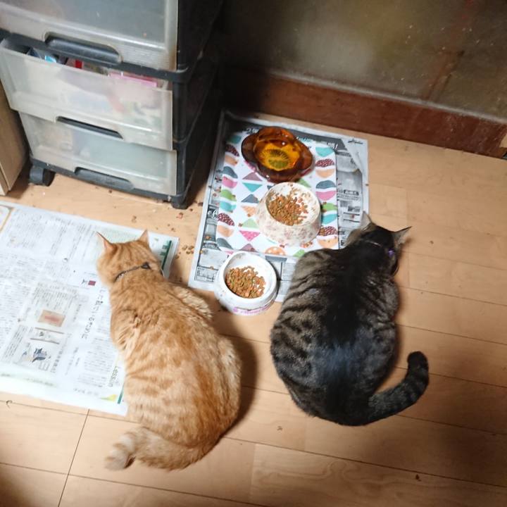 E2418efa eac0 4431 8e2f 1c18b8387cc6 1652269254123