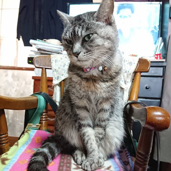 E2419299 b53b 485b a92d 76c77b0297b3 1578022173458