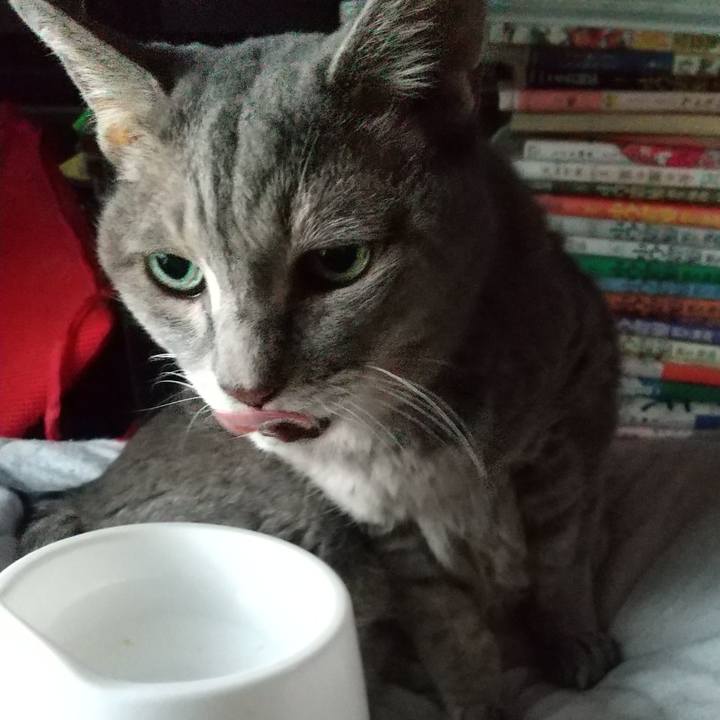 E241b11e 1683 46cb 846b 46e6cb728f94 1663709793347