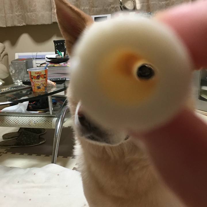 E241ef96 07ff 4788 a0f4 c22d785927e8 1508405956358