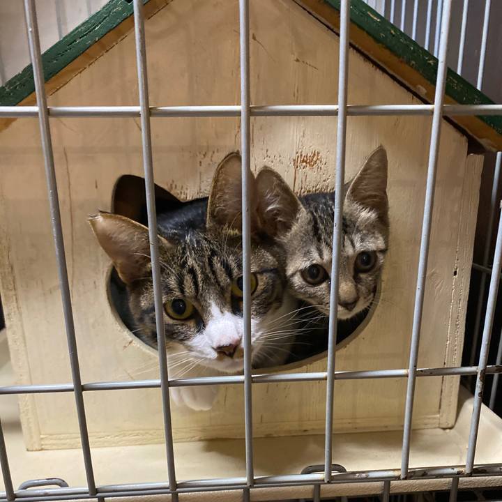 E241f62a 6109 40b6 9b27 2402077378f2 1602923320572