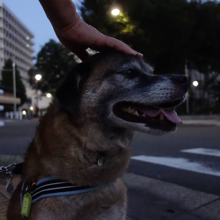 E24229f8 e044 4d5d 91e0 8b28da3e8d2b 1642986531619