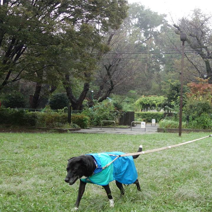 E2426faf 42e9 47d9 b96f 3fb2f2dcf6b2 1696809059794