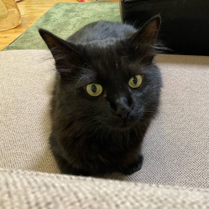 E2427504 d5d0 4e1f aa42 319a0a1f7142 1752207559224