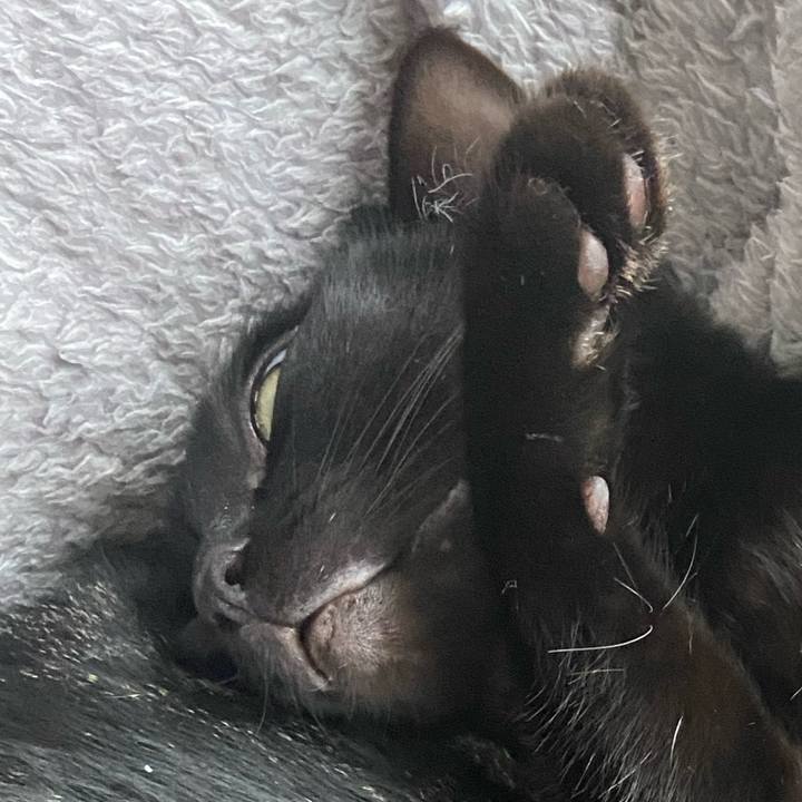 E2427541 27ad 42c6 b1df 8adb2ec64a7d 1683544331383