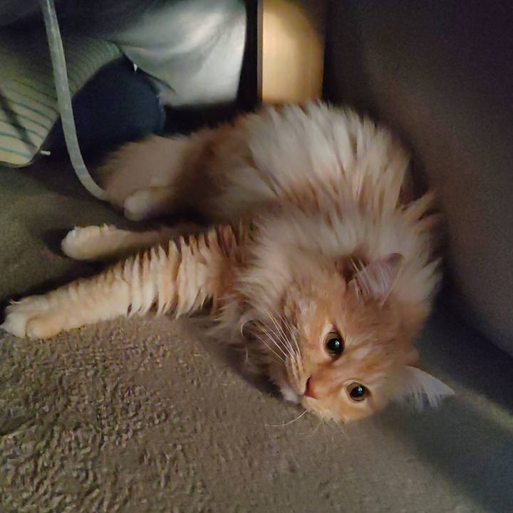 E2429b0f 897e 48b0 94d3 a9dfc0cec535 1710420526533