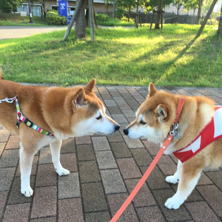 E242a627 bb8a 4048 8576 5b58070abeca 1565997223746