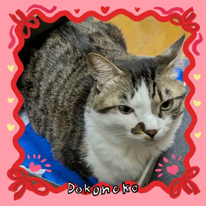 E242bfd9 06ab 419b 9961 995b56fb40aa 1707051473821