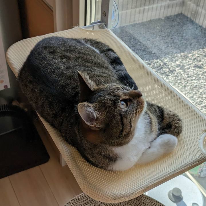 E242d308 e429 4fa5 94c1 a703bd5b76a9 1689721866353