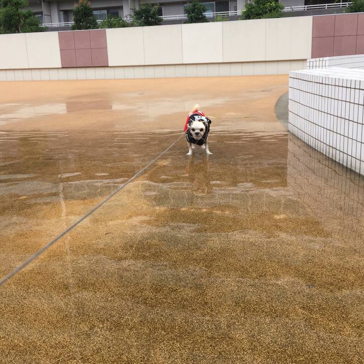 E242e27a 0f7b 4ae4 8dc9 dad48ceb67a5 1563081087406