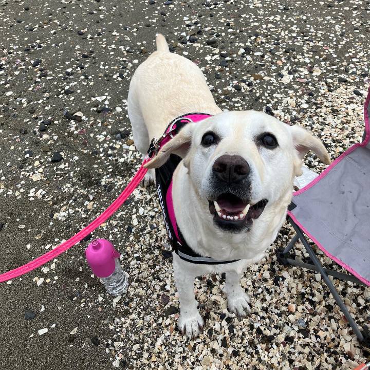 E2431390 b5ab 4e47 87ae 04eda4d261ea 1657748743543