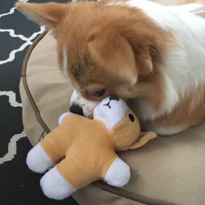 E2434002 a5bb 4279 8524 104a8aa48482 1564437192543