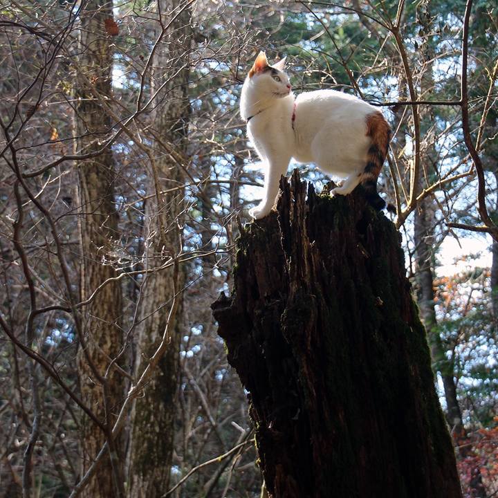 E2434612 8020 44f2 ab9f 12e99b96a274 1669766919463