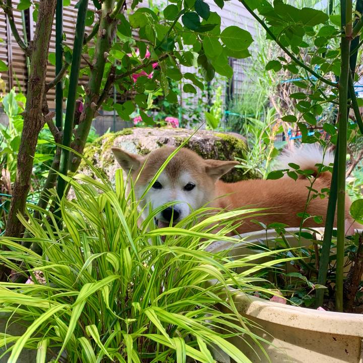 E243ba5b 37da 4c8e 819f 52d1d19964c5 1685577817286