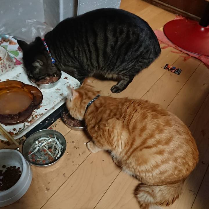 E243c0da 1f82 4078 bf7c ffa8ad74c665 1641720223895