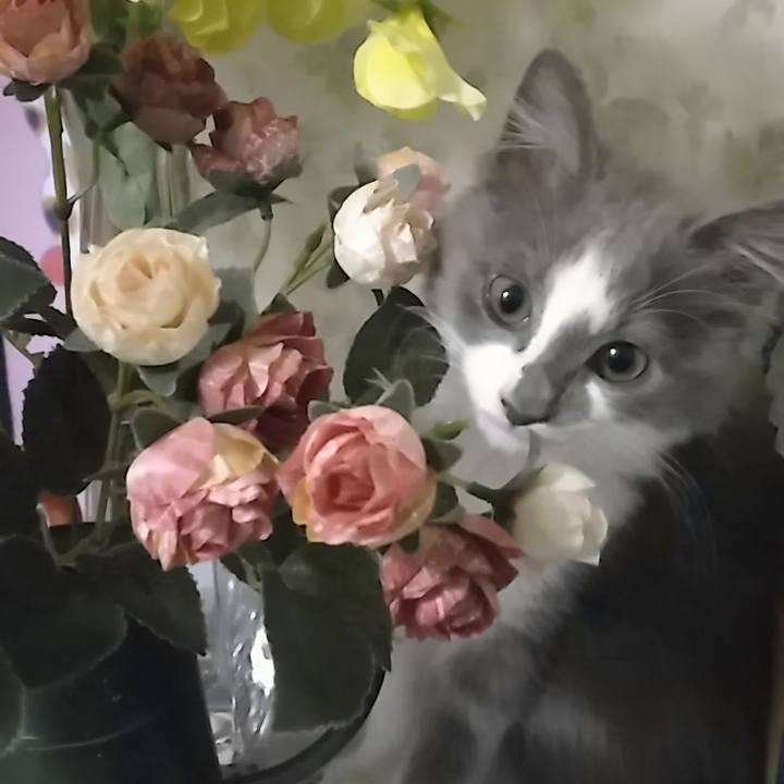 E243eecf 1d1f 4f5d 9f26 e6f6a4ab74aa 1563160313389