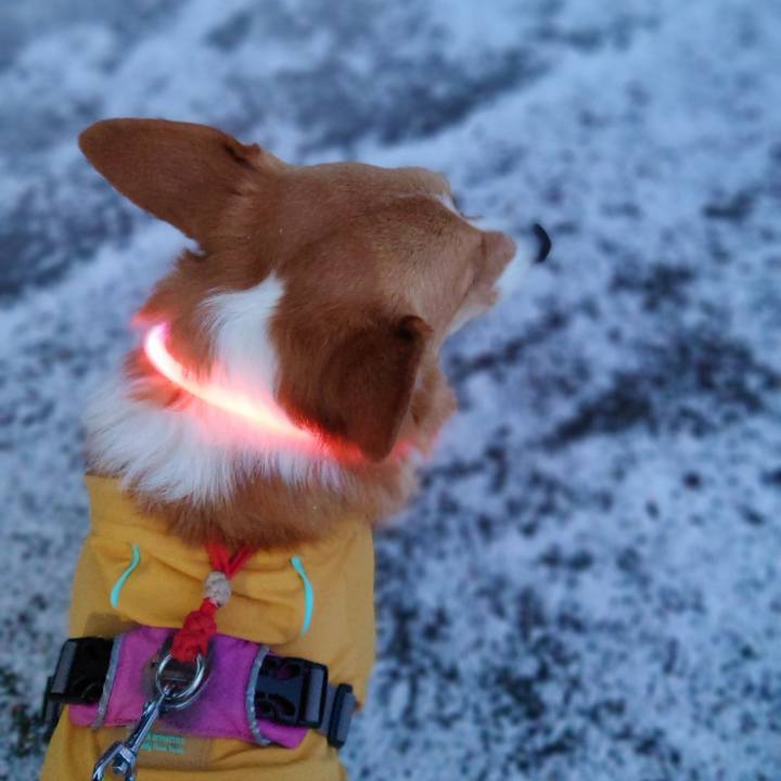 E2440135 10f9 4916 9b37 f2f3558f47ed 1766706600158