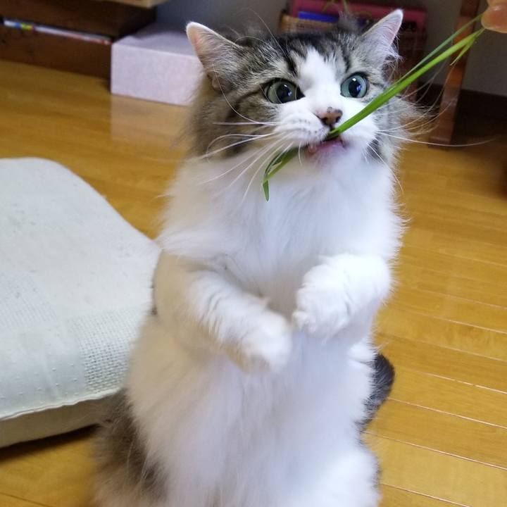 E2444550 93eb 4782 969c feead520920d 1595654038568