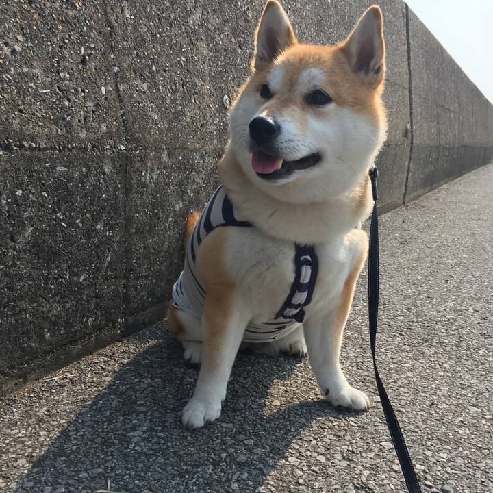 E244568b a815 45f6 b066 1f1a65be82b5 1554626314332