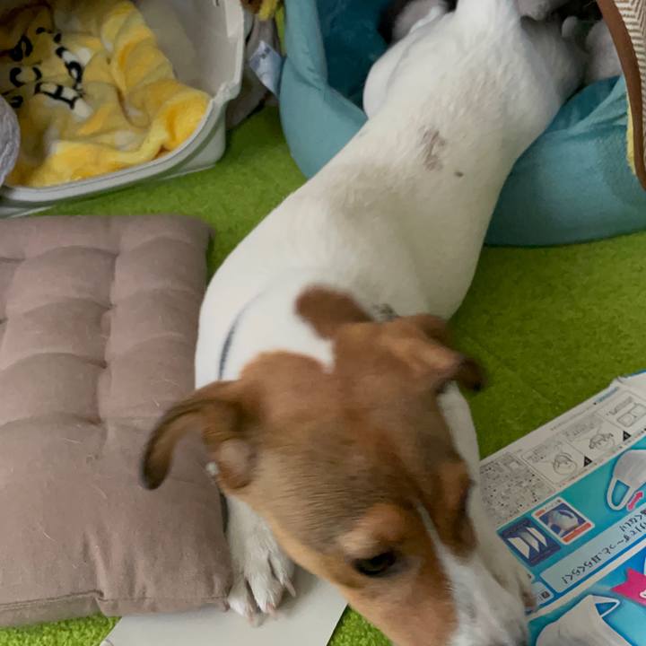 E2446d13 84d4 4ea1 83c3 9c8eef7ff1c4 1673998449199