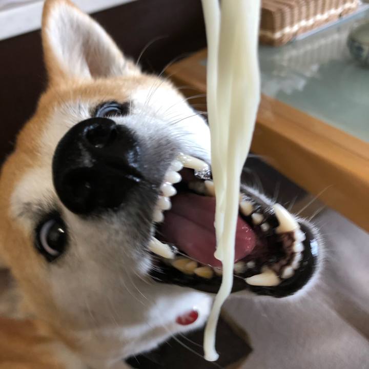 E244e404 fa7e 4252 a78a 712bf178412b 1527565661438