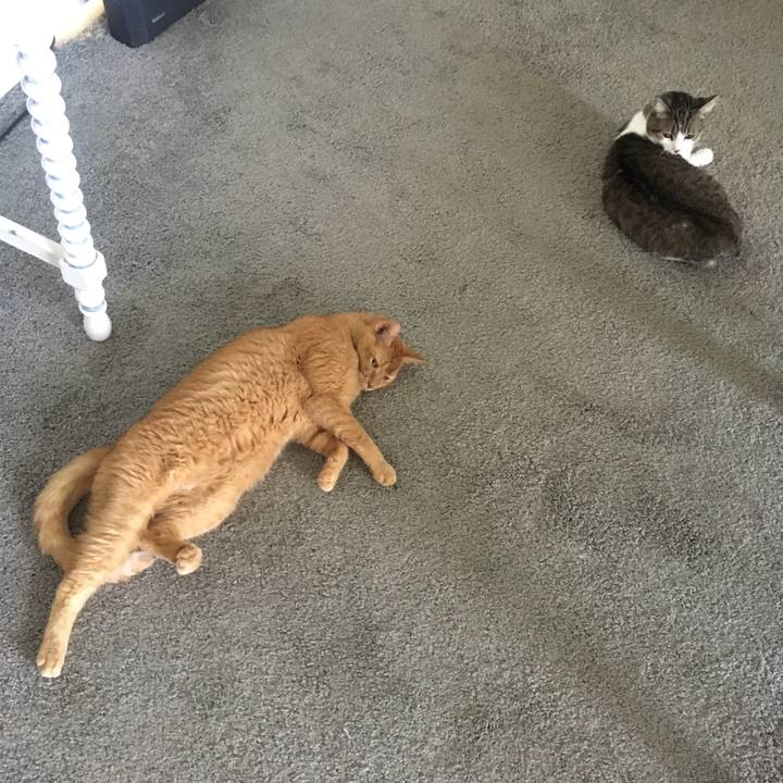 E244e546 2692 4ea5 a5de 48aab6a29fba 1662858964759