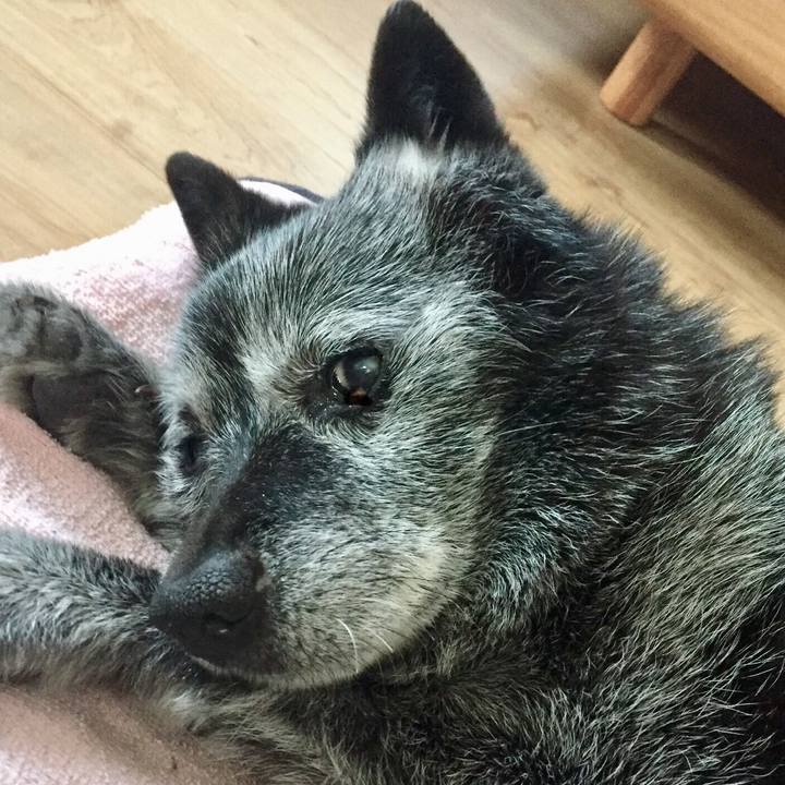 E2452115 cf54 4e57 88ab db59505e8e47 1583712812415