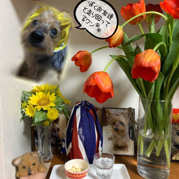 E2452a2e 8714 4c1b b7f6 84eb8cea6071 1610234293654