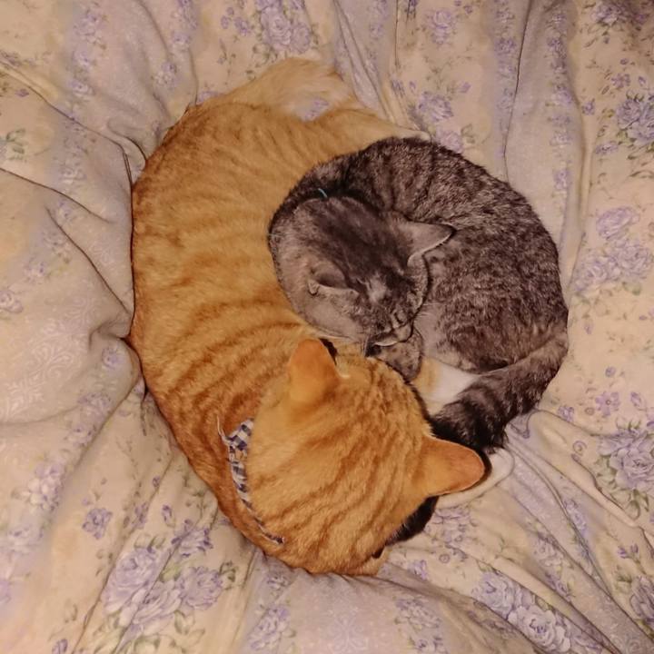 E2453e00 fb81 45e2 a519 8d07322f1a2c 1606909571296