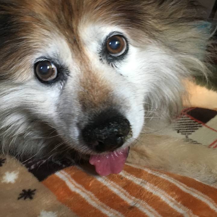 E2454024 8362 4d64 af2b 37aafd7f3177 1602334034382