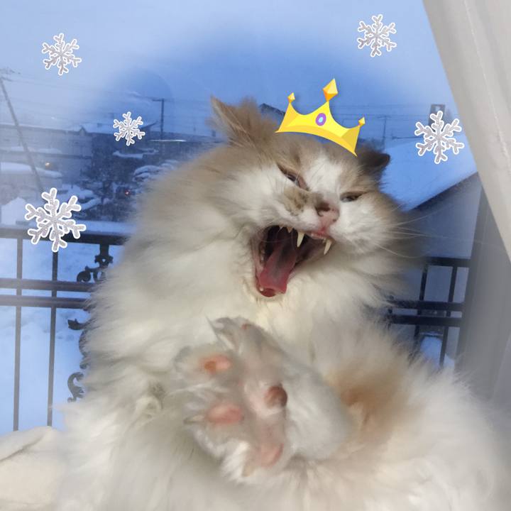 E245453c 85eb 4a8f 929a 5fe0d7c12679 1547980772751