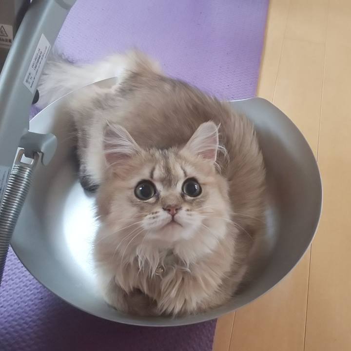 E24552f3 a0c8 4ed9 ad54 1e688a2d14a6 1561332384019