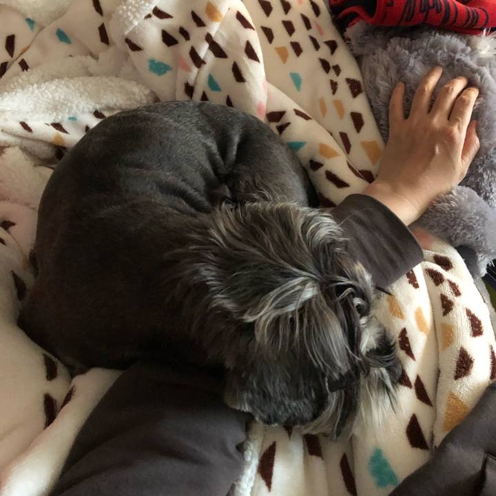 E2457548 5e6f 424d 9c54 454974aef512 1651736431809