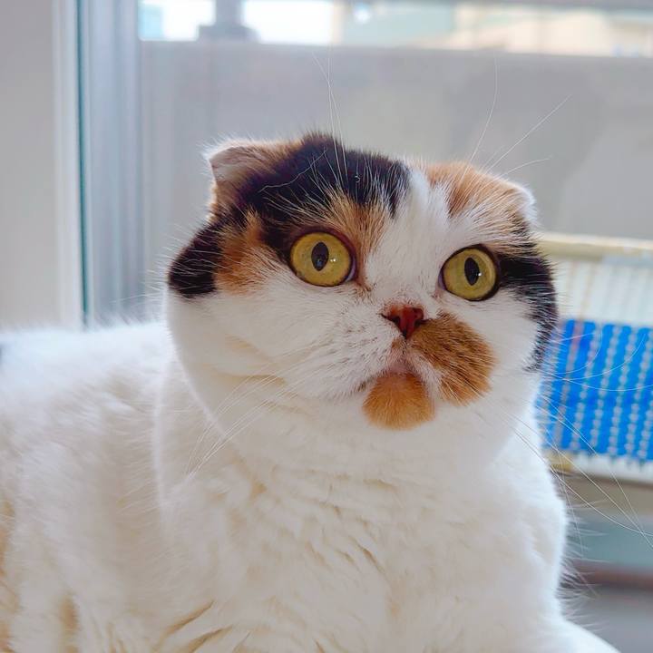 E245a281 2488 47d7 b807 3e67326129c3 1701299762635