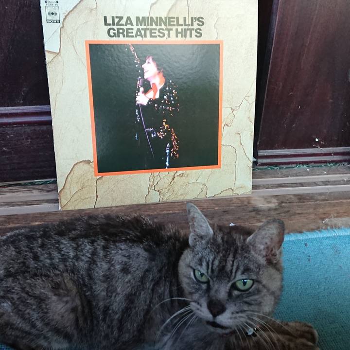 E245b124 2818 483d b273 93865a791cd6 1598530037277